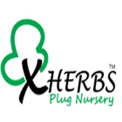 farm fresh organic products online