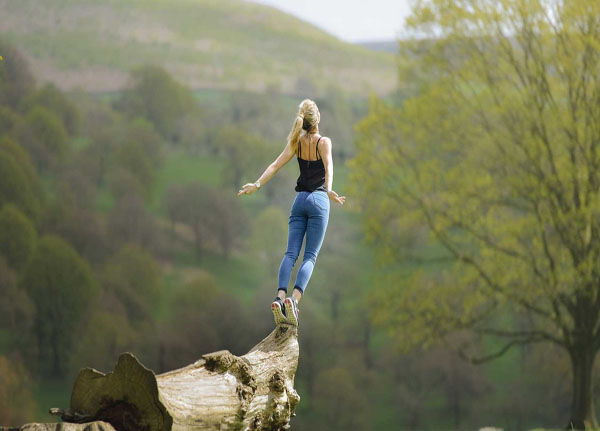 About gseven Company