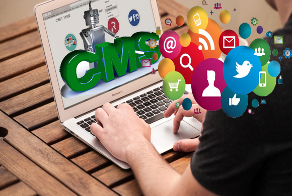 CMS Website Development