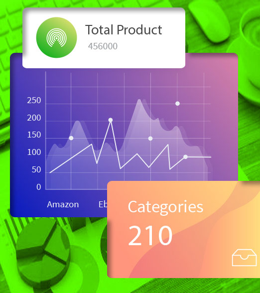 software product development