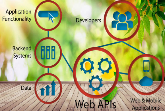 api development companies