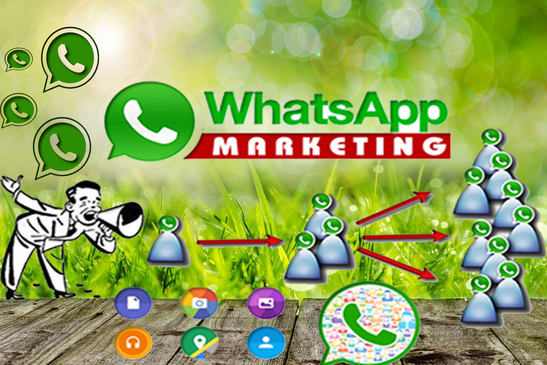 whatsapp vs sms marketing